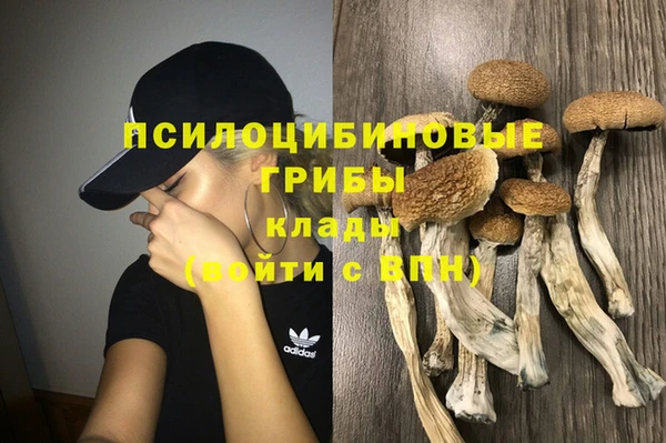 дурь Карпинск