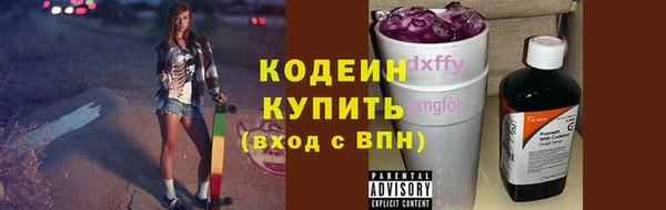 дурь Карпинск