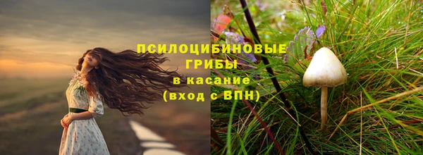 дурь Карпинск