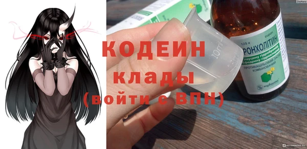 дурь Карпинск