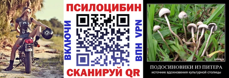 Галлюциногенные грибы MAGIC MUSHROOMS  Купить  Курчатов 